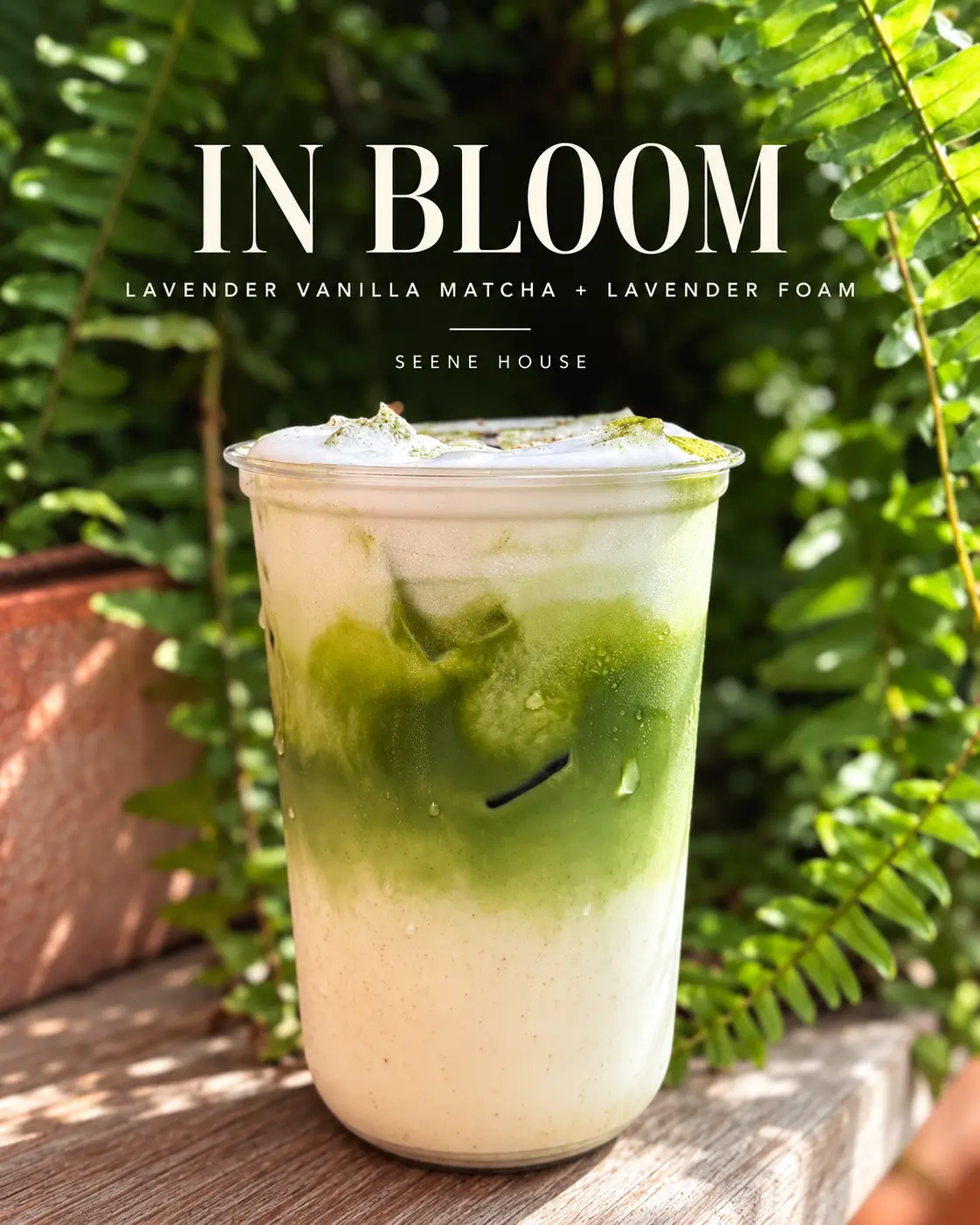 In Bloom — Lavender vanilla matcha + lavender foam at Seene House